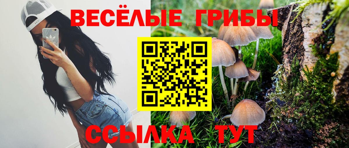 Шатура  Псилоцибиновые грибы Psilocybine cubensis  Вход с VPN  Псилоцибиновые грибы GOLDEN TEACHER 