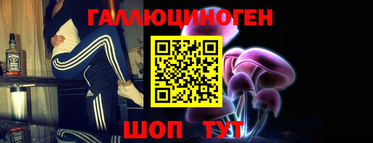 Псилоцибиновые грибы мицелий Шатура